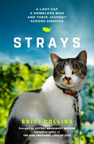 [Strays 01] • Strays